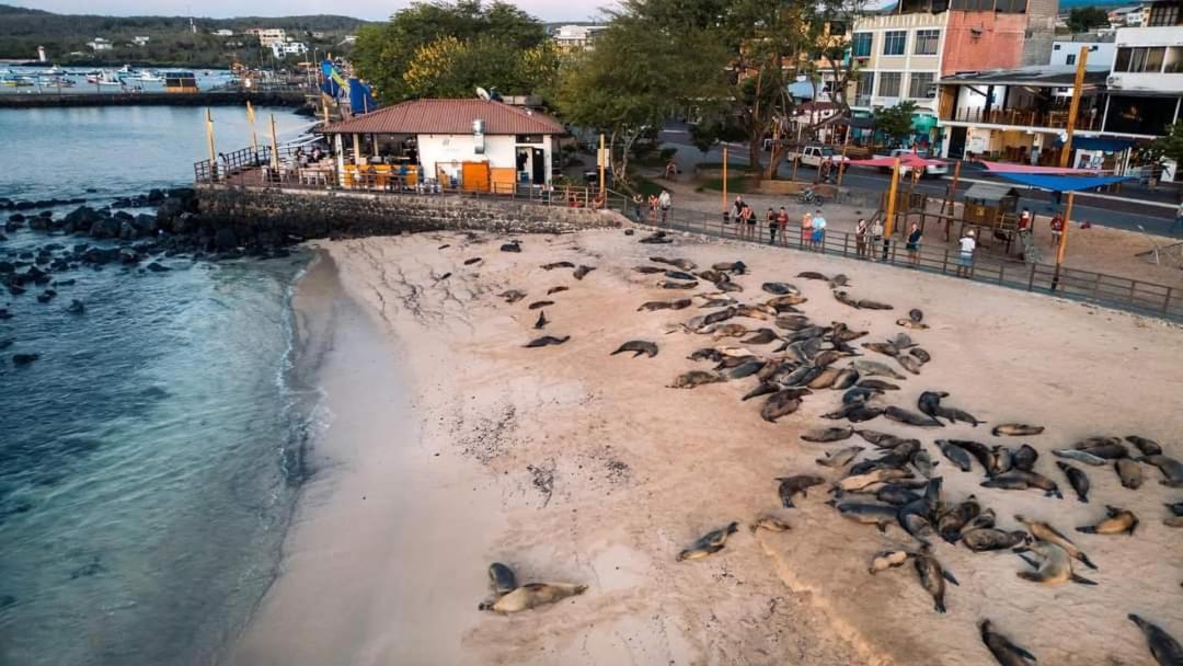 Royal Galapagos Inn Puerto Baquerizo Moreno Luaran gambar